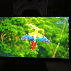 55"lg Smart Tv 4k