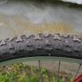 Kids Image 6