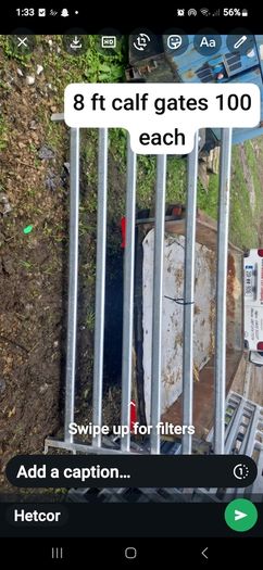 calf gates 8 4fts 4 five ft 4 x8 ft light gates and 8 ft hevey calf gates x8 price in pictures