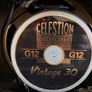 Traynor YCV50B 50W Tube Combo Celestion V30 Image 4