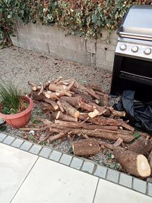 Free logs to take away today