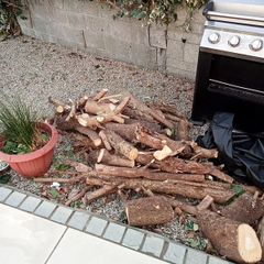 Free logs to take away today