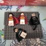 LEGO bundle Image 2