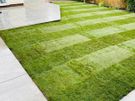 PC Garden Service Skerries Image 6