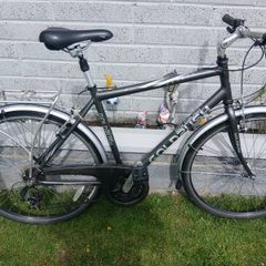 Adults Bike