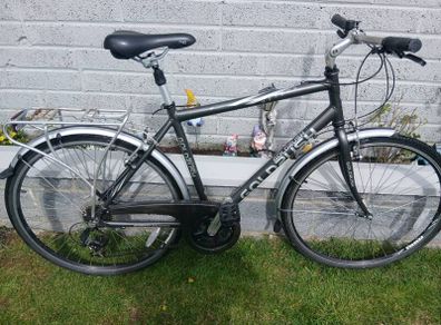 Adults Bike
