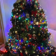 Ezy Living 7ft christmas tree. Canadian Spruce. Excellent condition. Stand included.