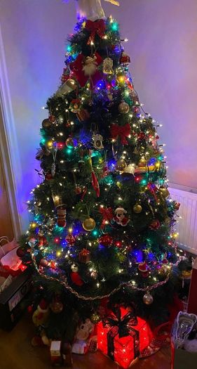 Ezy Living 7ft christmas tree. Canadian Spruce. Excellent condition. Stand included.