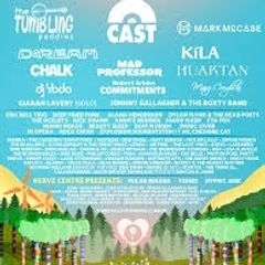 Stendhal Music Festival Family camping ticket x 5 Derry