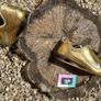 Get Luxury Gold Nike's Image 9