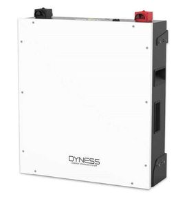 Dyness A48100 LiFePo4 solar battery 48V 4.8kWh