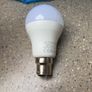 light bulb Image 3