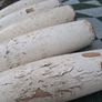 5 X Victorian Wooden Original Paint Indian Exercise Clubs(17 inches,2.5kgs) Image 4