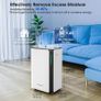Hangsun 20L/Day Dehumidifiers for Home Dehumidifier for Drying Clothes and Damp with Digital Humidity Display, Continuous Drainage, 24 Hour Timer, Ideal for Laundry Room, Basement, Bedroom, Bathroom Image 2