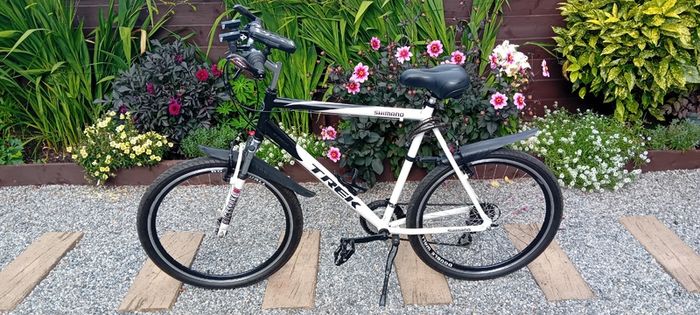 Mens mountain bike