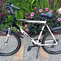 Mens mountain bike