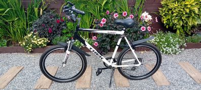 Mens mountain bike