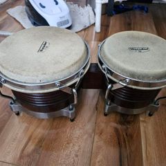 Bongos and Conga