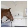 Kerbl True Wireless Smart Cam for Animal Transport - Rechargable - For use as a WLAN hotspot Image 2