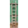 Extending Ladder Wooden KAS919 Image 2