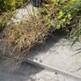 plant pots Image 4