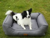 Orthopedic dog bed