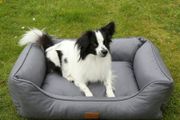 Orthopedic dog bed