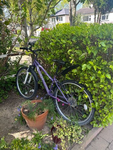 bike