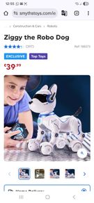 Robodog