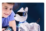 Robodog