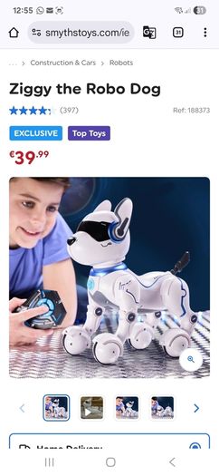 Robodog