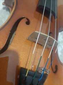 Violin Roderich Paesold