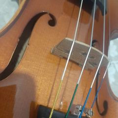 Violin Roderich Paesold