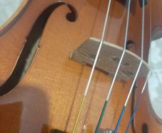 Violin Roderich Paesold 802