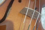 Violin Roderich Paesold 802