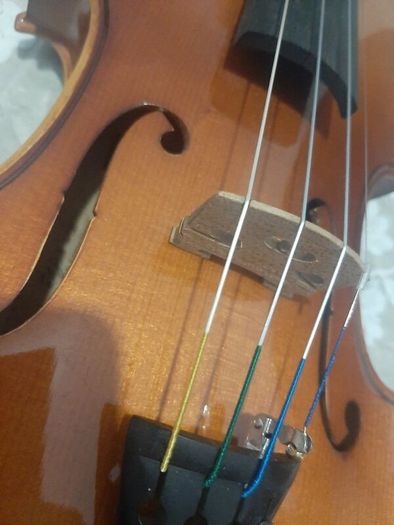 Violin Roderich Paesold 802