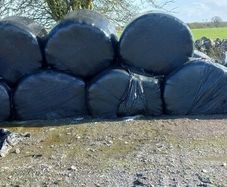Silage bales