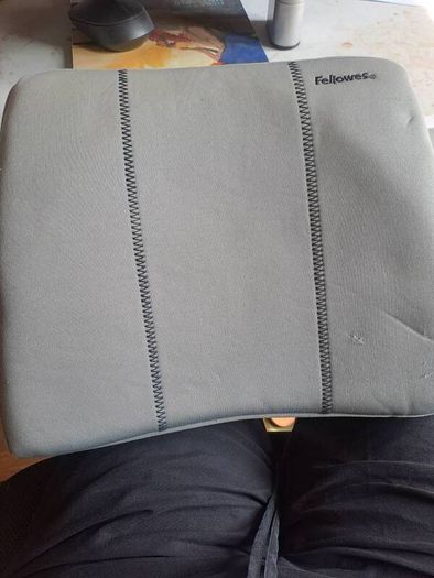 lumbar support