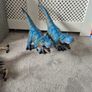 Dinosaurs Image 5
