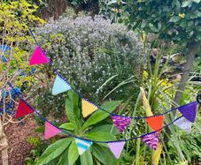 Hand Knit Party Bunting