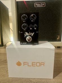 Fleor Delay