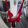 baby walker harnessed Image 2