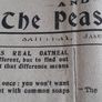 the irish nation papper Image 9