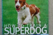 How to train a superdog, Gwen Bailey,Hardback book, Books,Non fiction