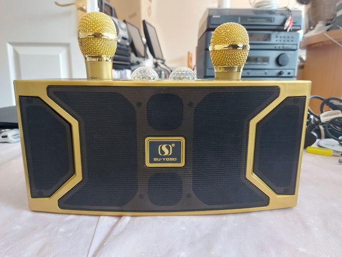 Loa karaoke SU-YOSD YS-211, Bluetooth Speaker, Dual Microphone, Both speaker and Microphones USB C Charged
