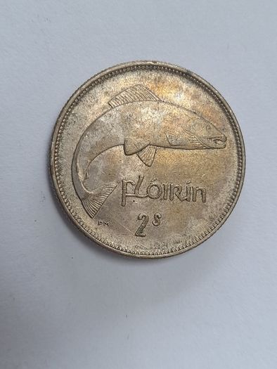1928 floirn