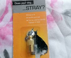 Dog Name holder for collar.