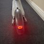 Electric scooter Image 4