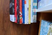 Secondary school novels.