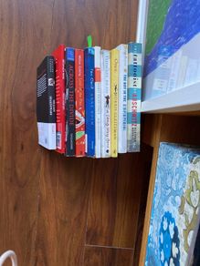 Secondary school novels.